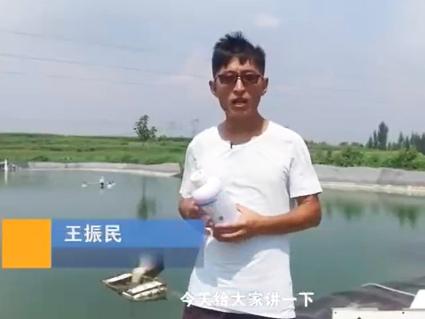 菌种先容-噬菌体先容