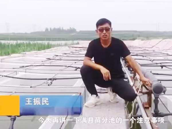 钱柜qg777满月苗的注重事项