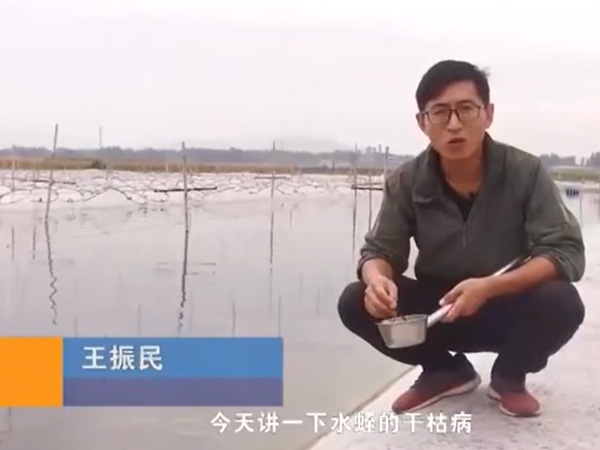 钱柜qg777干枯病爆发涯纪律及防治要领