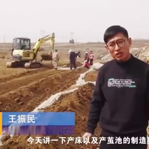 产床及产茧池制作要求