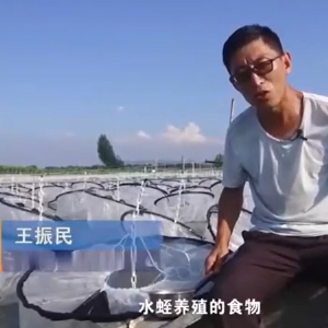 养殖治理.食物投放