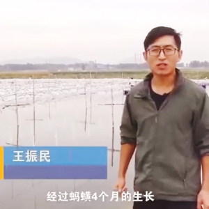 钱柜qg777收获流程